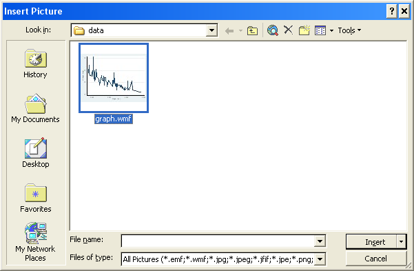 Inserting the Graph into Word